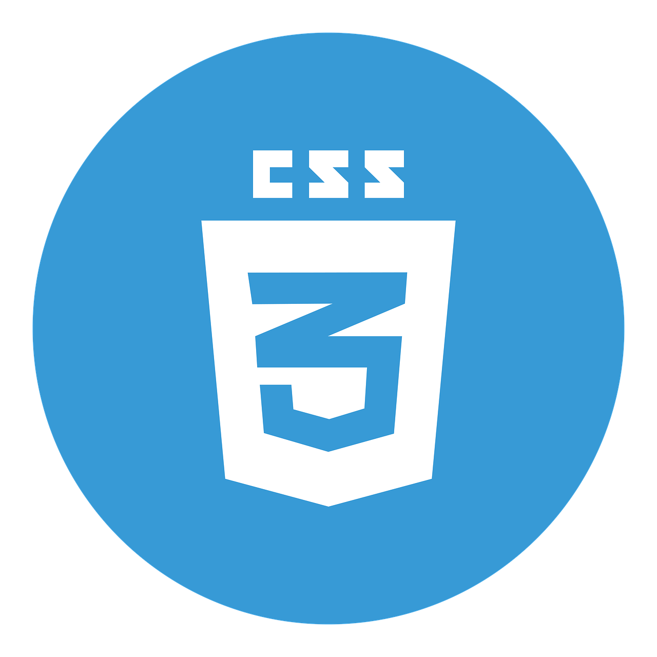 logo-css